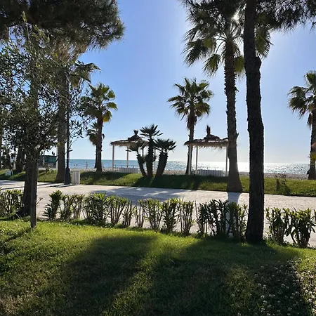 Summer Apartment